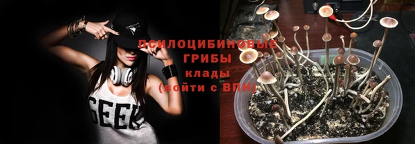 ешки Пересвет