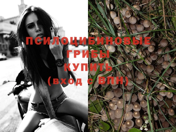 кокс Пестово