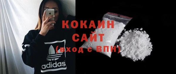 ГАЛЛЮЦИНОГЕННЫЕ ГРИБЫ Переславль-Залесский