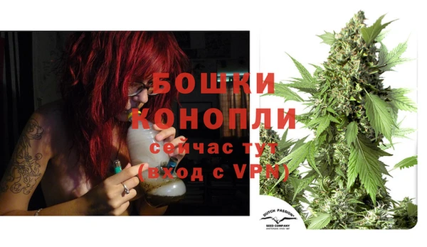 ешки Пересвет