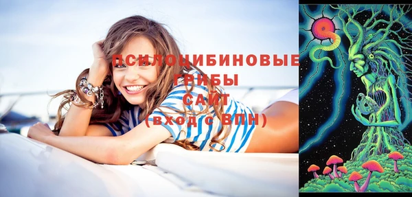 кокс Пестово
