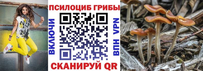 kraken продажа наркотиков Истра Галлюциногенные грибы Magic Shrooms