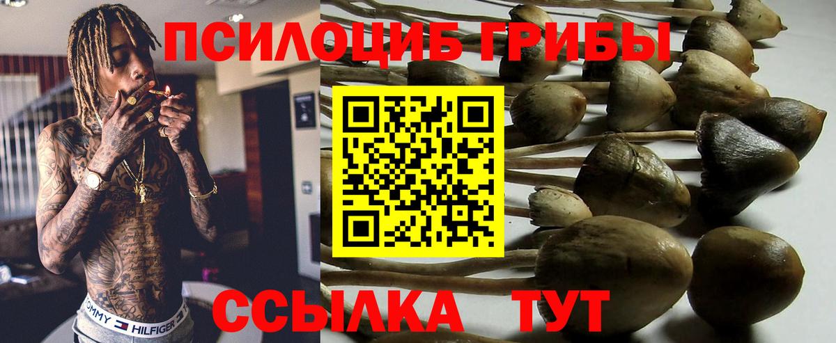 магазин продажи   Галлюциногенные грибы мицелий  Вход с VPN  Истра 