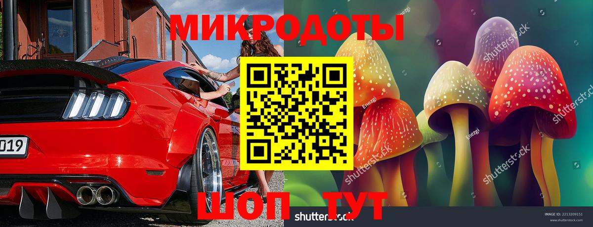 Псилоцибиновые грибы Psilocybine cubensis Истра